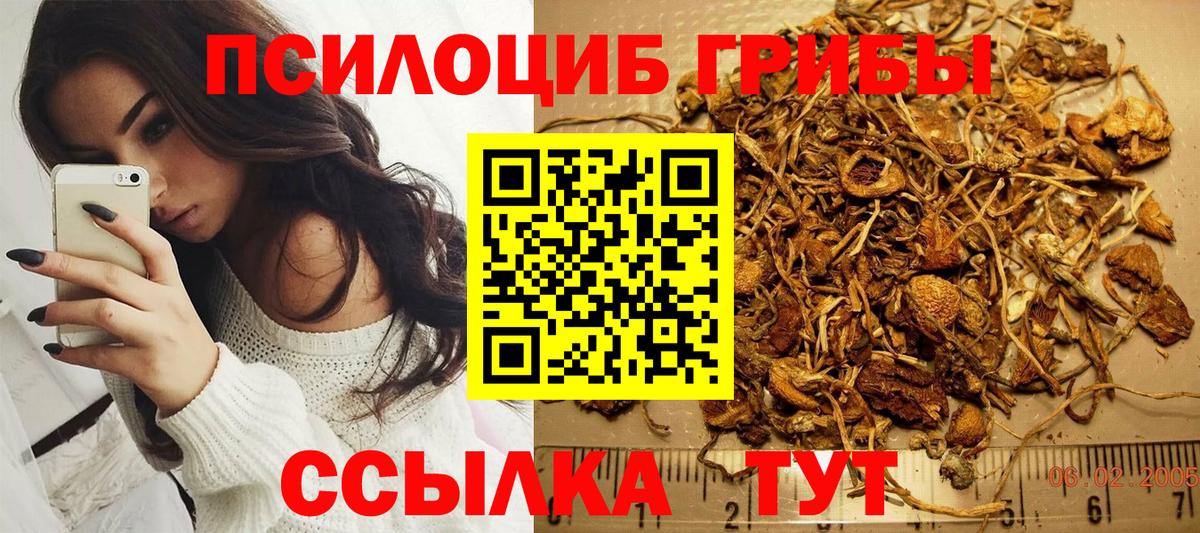 Псилоцибиновые грибы Magic Shrooms  Галлюциногенные грибы мицелий  Вход с VPN  Кстово 