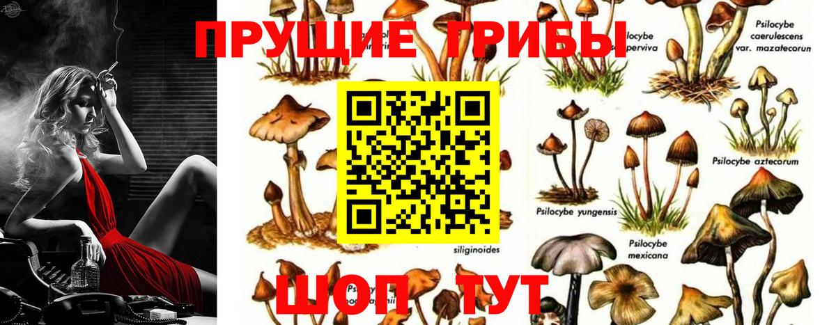 Галлюциногенные грибы MAGIC MUSHROOMS Кстово
